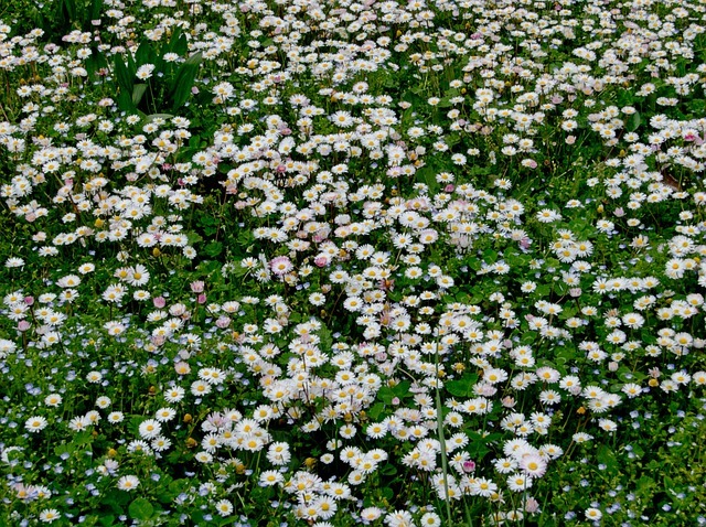 存下第一个10万后,我才看懂复利不是倍数,是时间 配图