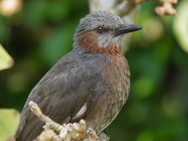 数字工具:用对工具放大你的产出 配图