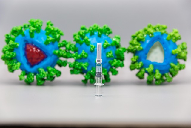 疫苗与药箱:34岁自由插画师,把12国行前健康准备做成三张清单 配图
