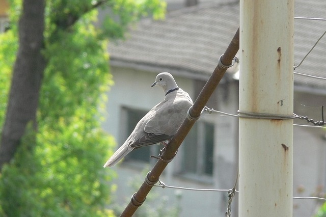 成年人的高效学习系统:以输出倒逼输入 配图