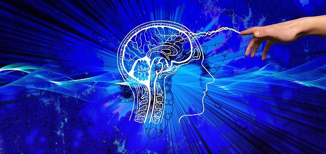 阅读体系:把一本书榨出十倍价值的系统方法 配图